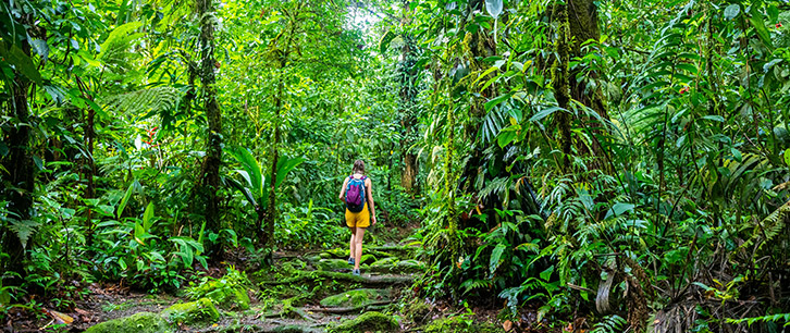 Bosque Eterno de los Ninos (BEN)